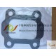 Rear Oil Seal for Cummins Isx Qsx 4965569 4962603