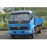 EQ1063DJ10 5tons light truck