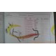 Hangcha forklift nissan TD27 Preheating plug