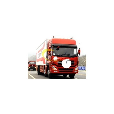 truck Kingrun