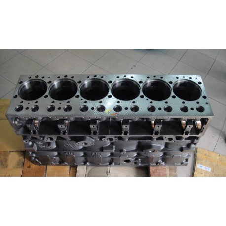 Cylinder Block D5010550603