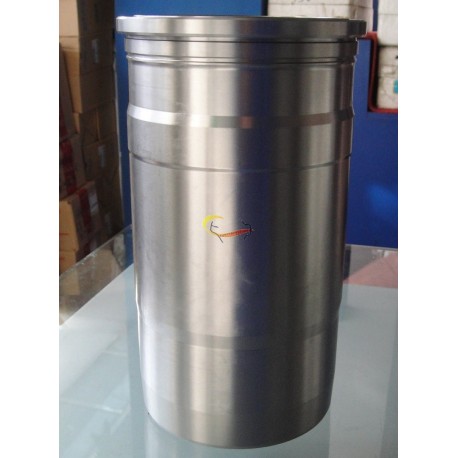 Cylinder liner D5010359561