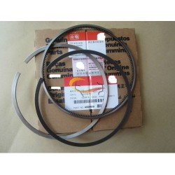 NT855 N14 Piston ring 4089489