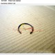 6CT Ring retaining C3920692