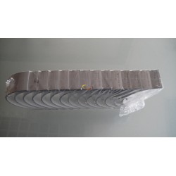Main bearing D5010295445