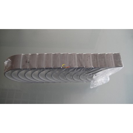 Main bearing D5010295445