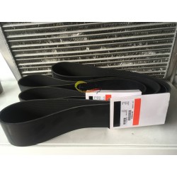 Belt 3003341,5413001
