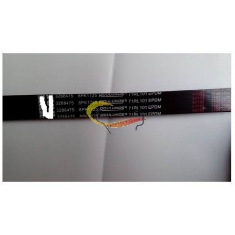 Belt 3288475 8PK 1725