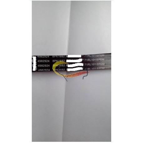 Belt 4982924 8PK1682