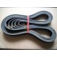 BELT,V RIBBED,A3911568