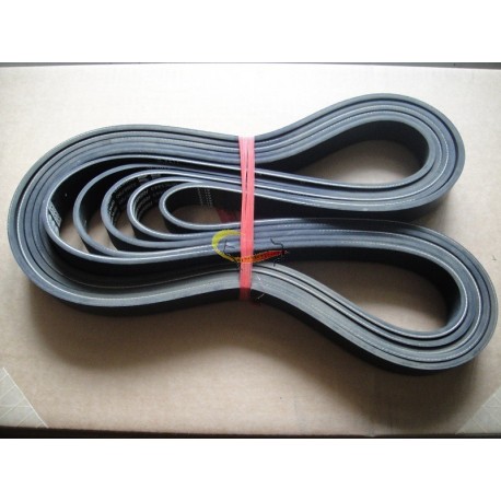 BELT,V RIBBED,A3911568