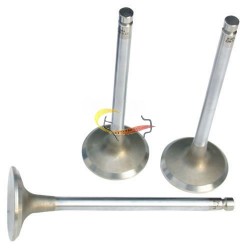 进气门  6CT Intake valve 3921444