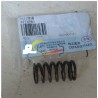 ISF2.8 valve spring 4976980