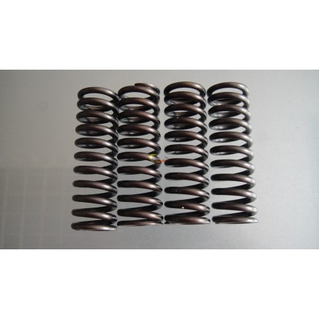 Valve spring D5010412715