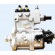高压油泵 DCi11 Injection pump D5010553948  D5010222523