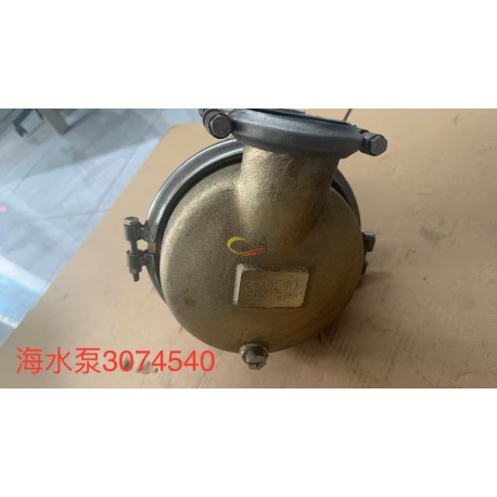 QSK19 PUMP,SEA WATER 3074540