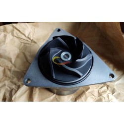 6L water pump C4934058