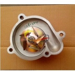 EQ4H water pump 1307BF11-010