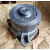 QSC water pump 5291445