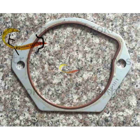C7 gasket 135-9819