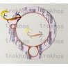 M11 Air Compressor Gasket 4952625 4933782