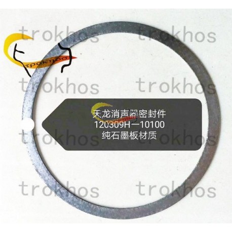 Silencer gasket120309H-10100