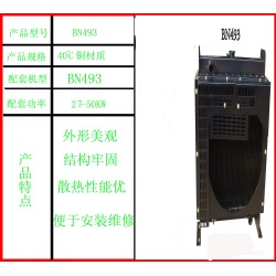 radiator for generatorBN493