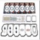 cummins QSB5.9 lower engine gasket 3800833